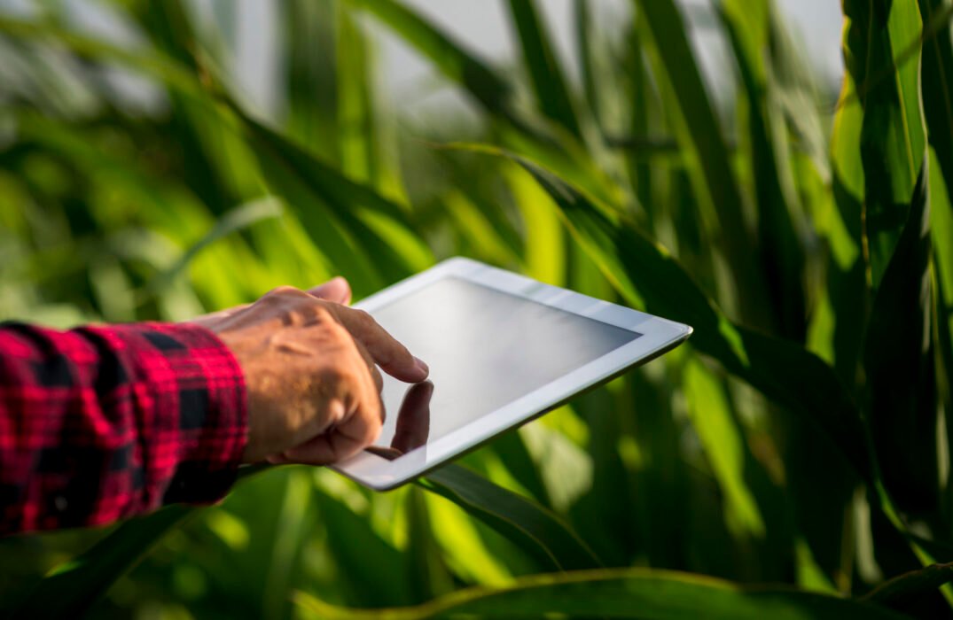 close-up-man-using-tablet-field close-up-man-using-tablet-field