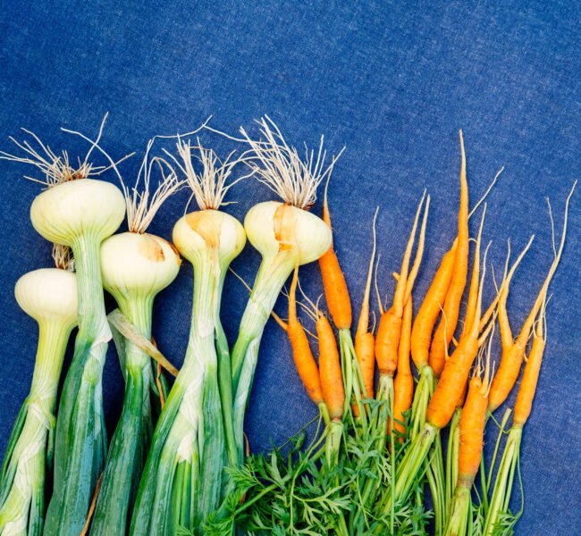 harvest of carrots and onions in the vegetable garden, on a blue background. harvest of carrots and onions in the vegetable garden, on a blue background.