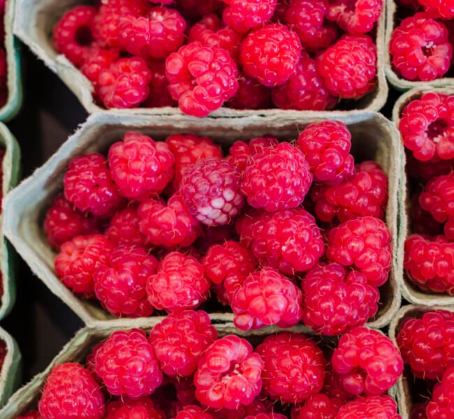 ripe-sweet-raspberries-display-case ripe-sweet-raspberries-display-case