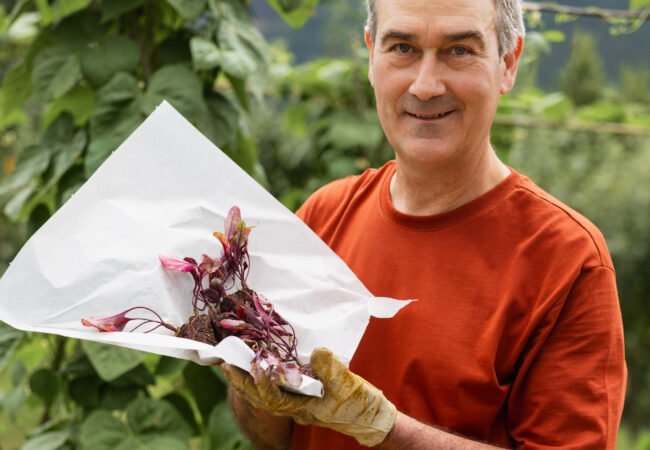 Smiling man holding beetroot seedlings in vegetable garden, copy space. Man proudly showing beetroot seedlings ready for planting in a vegetable garden.